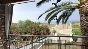 Palm Villa